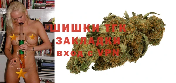 гашик Кулебаки