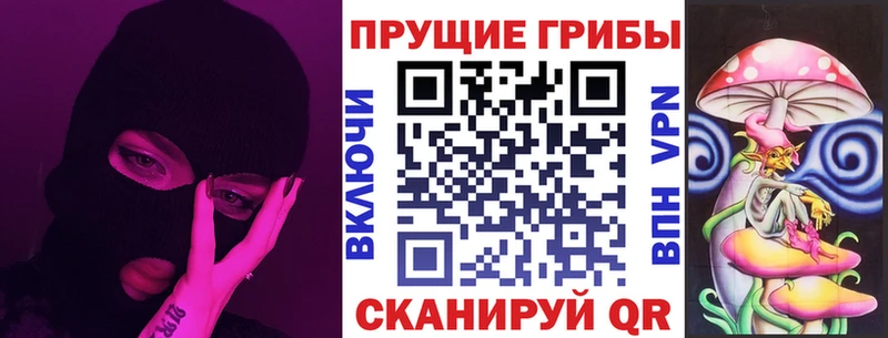 Псилоцибиновые грибы Psilocybe  что такое наркотик  Красный Холм 