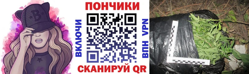 Канабис OG Kush Красный Холм